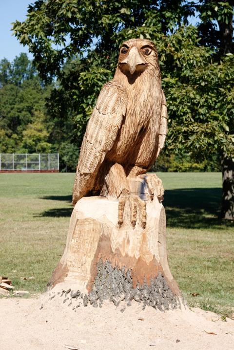 Finished sculpture - HACC hawk